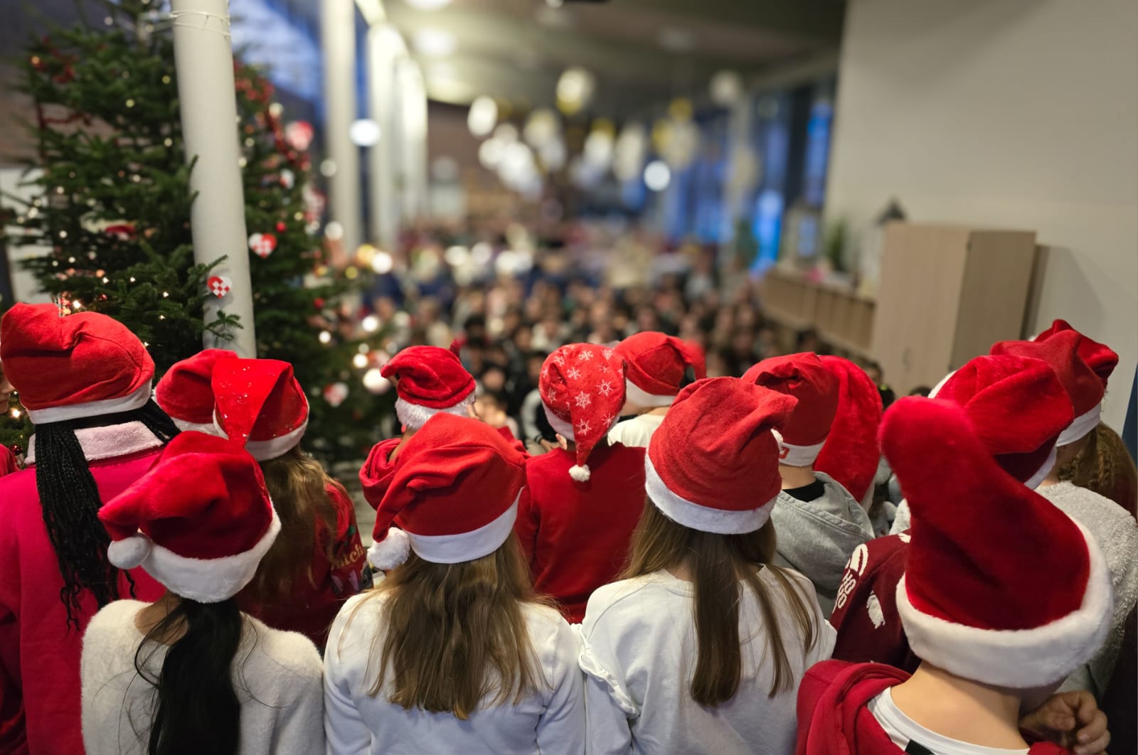 PHOTO-2024-12-16-08-24-21